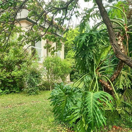 Pension Villa Inge บาเดน ภายนอก รูปภาพ