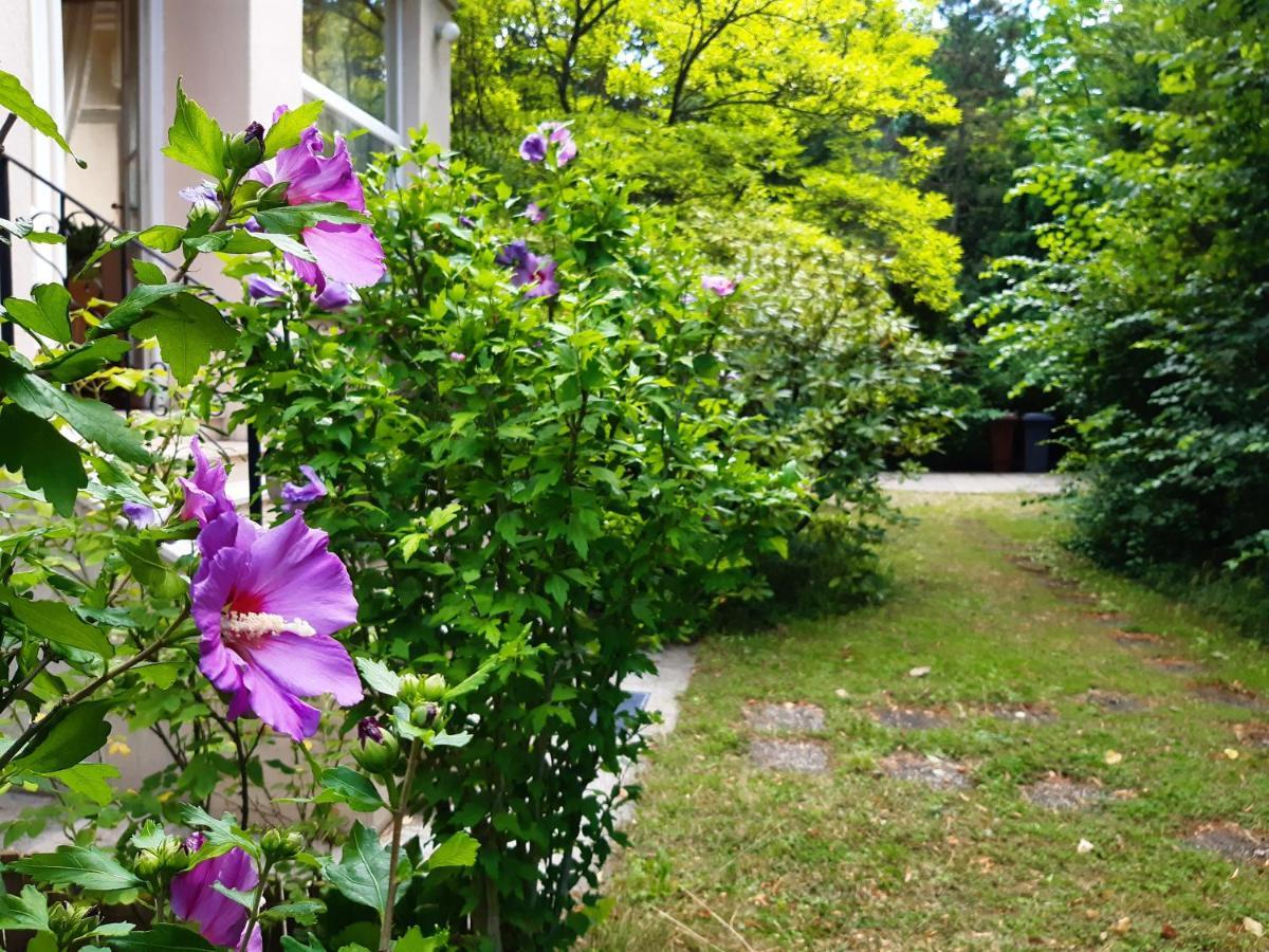 Pension Villa Inge บาเดน ภายนอก รูปภาพ