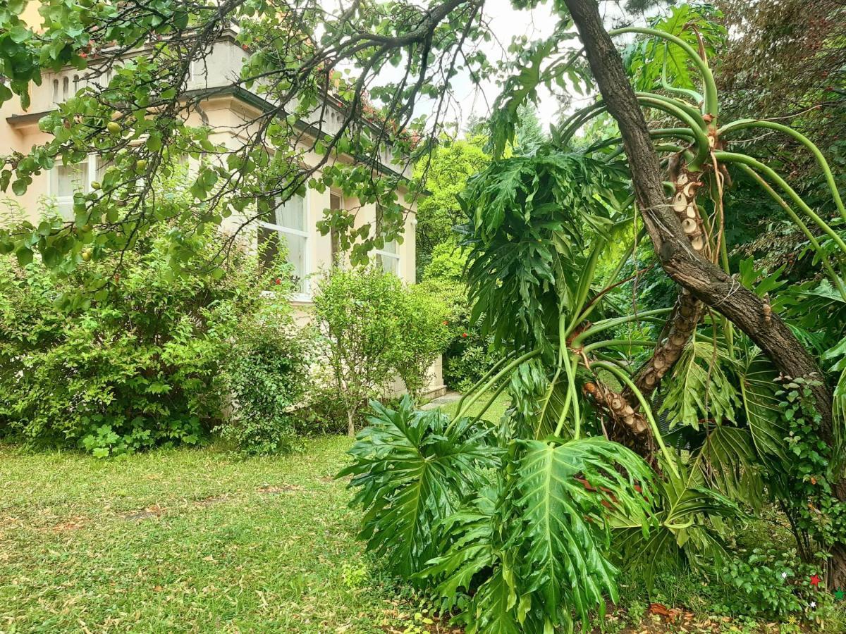 Pension Villa Inge บาเดน ภายนอก รูปภาพ