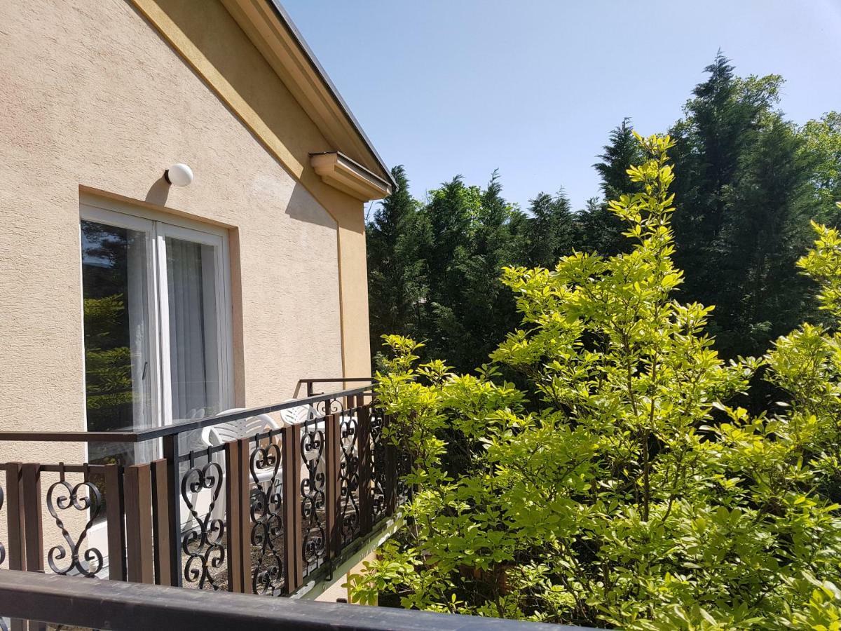 Pension Villa Inge บาเดน ภายนอก รูปภาพ
