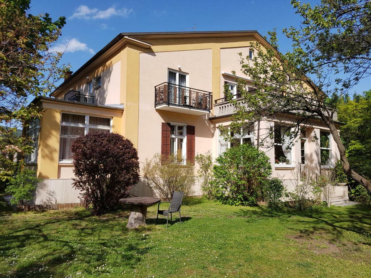 Pension Villa Inge บาเดน ภายนอก รูปภาพ